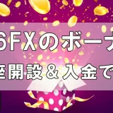 IS6FX　Bonus